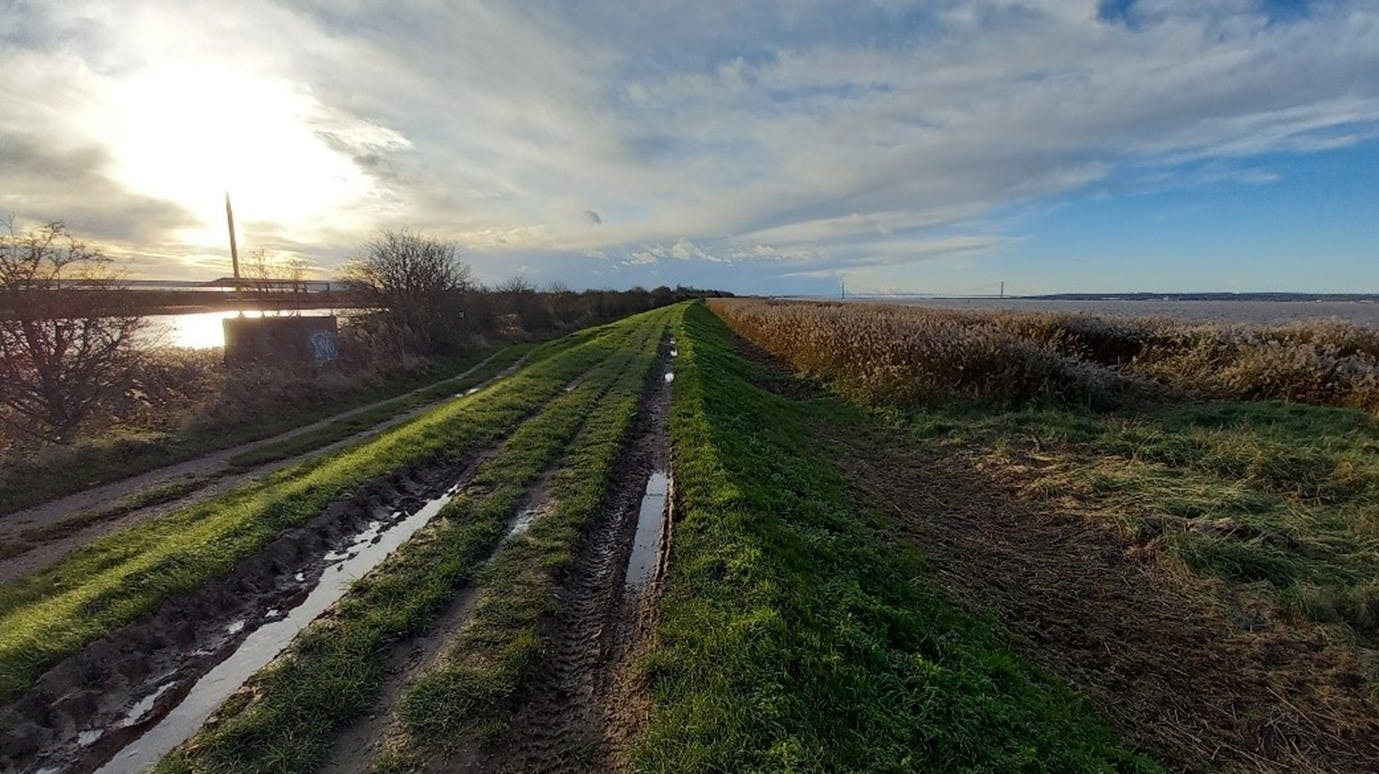 Photo of a muddy dirt path with puddles runs through a grassy rural landscape, bordered by a body of water on the left and scattered trees and bushes. The sky is mostly cloudy with some sunlight breaking through.