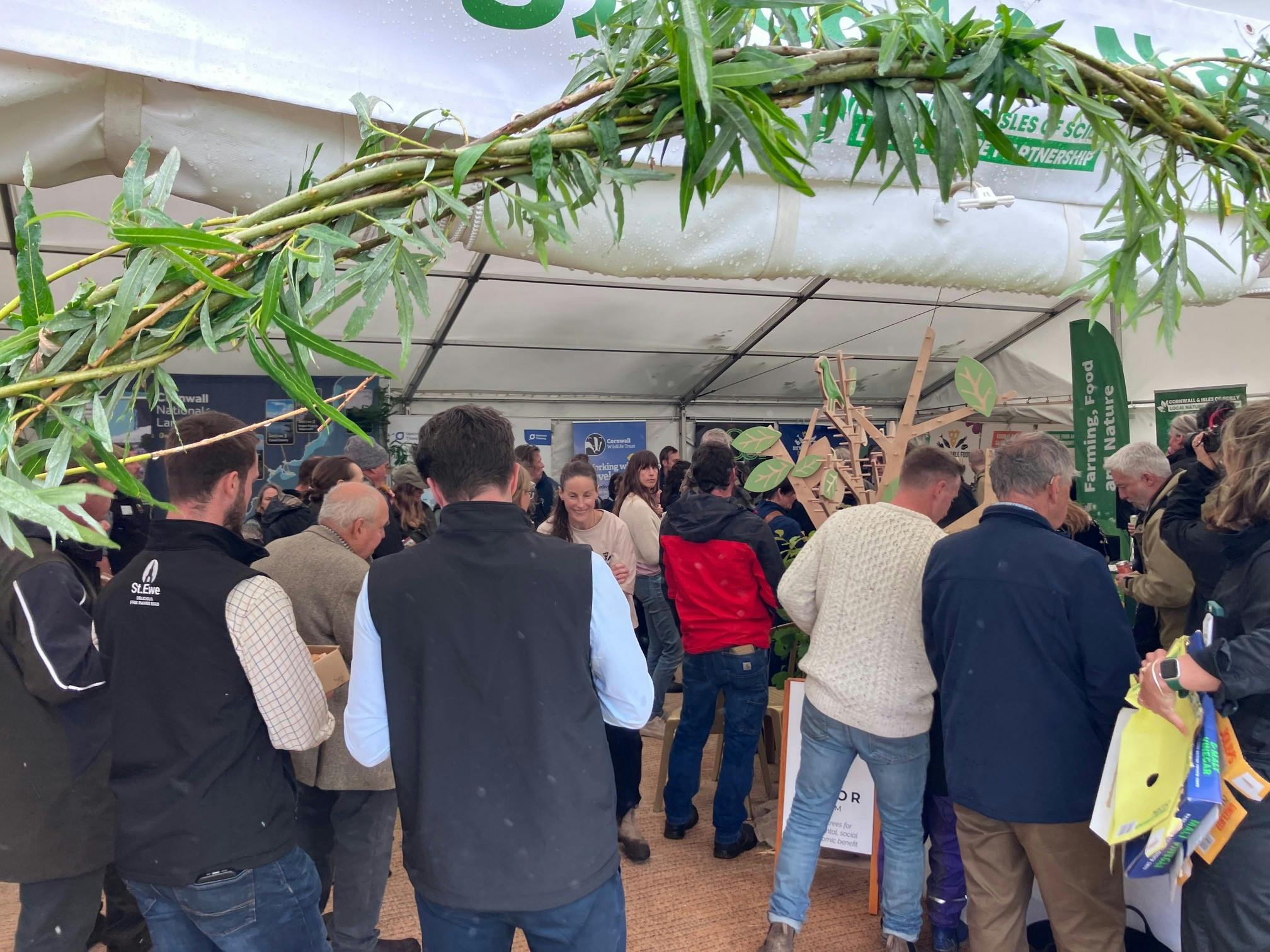 RCS Hub willow arch Hub launch.jpg
