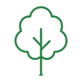 Team member, Tree Service