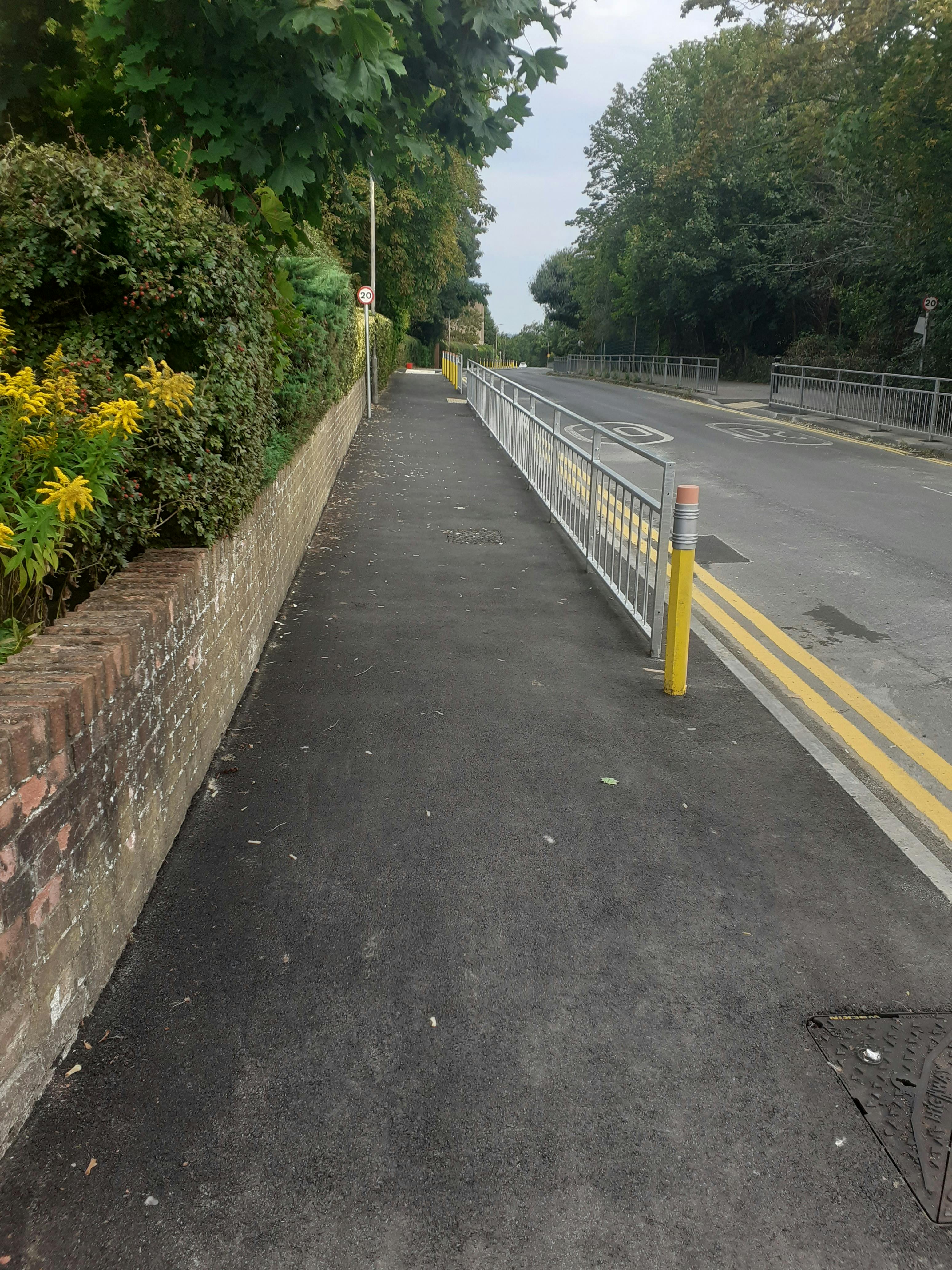 SHL footway widening and vegetation trimming