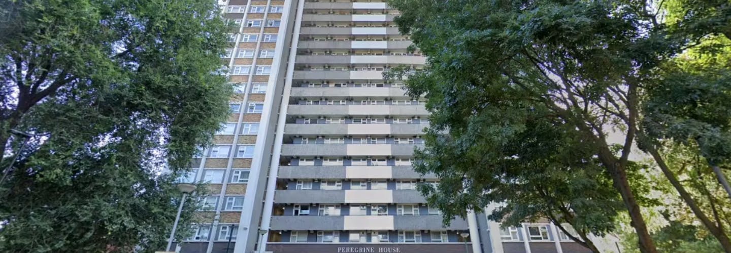 Peregrine House block of flats with trees either side. 