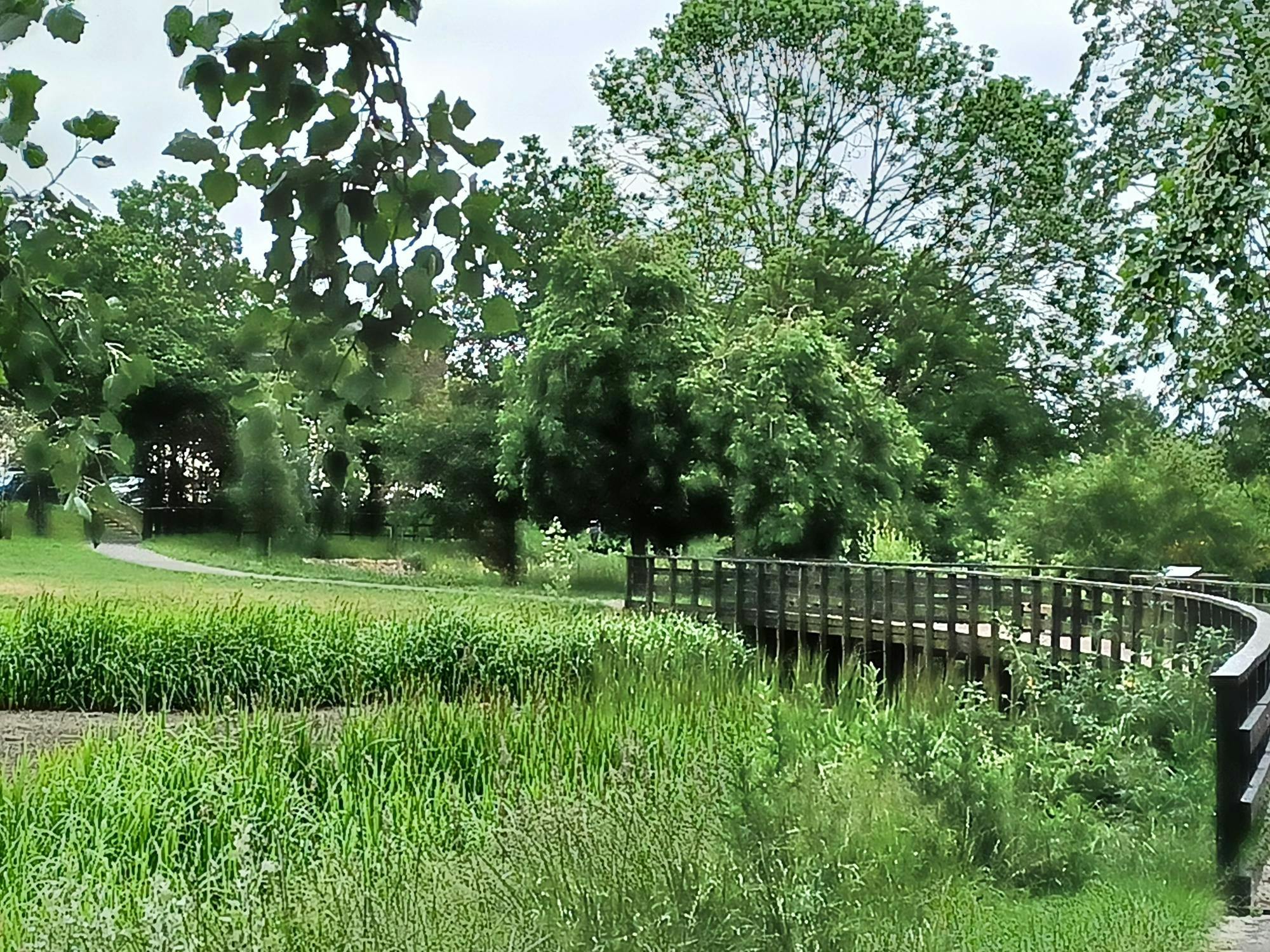 Green walk  