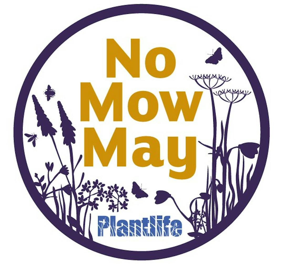 No Mow May logo