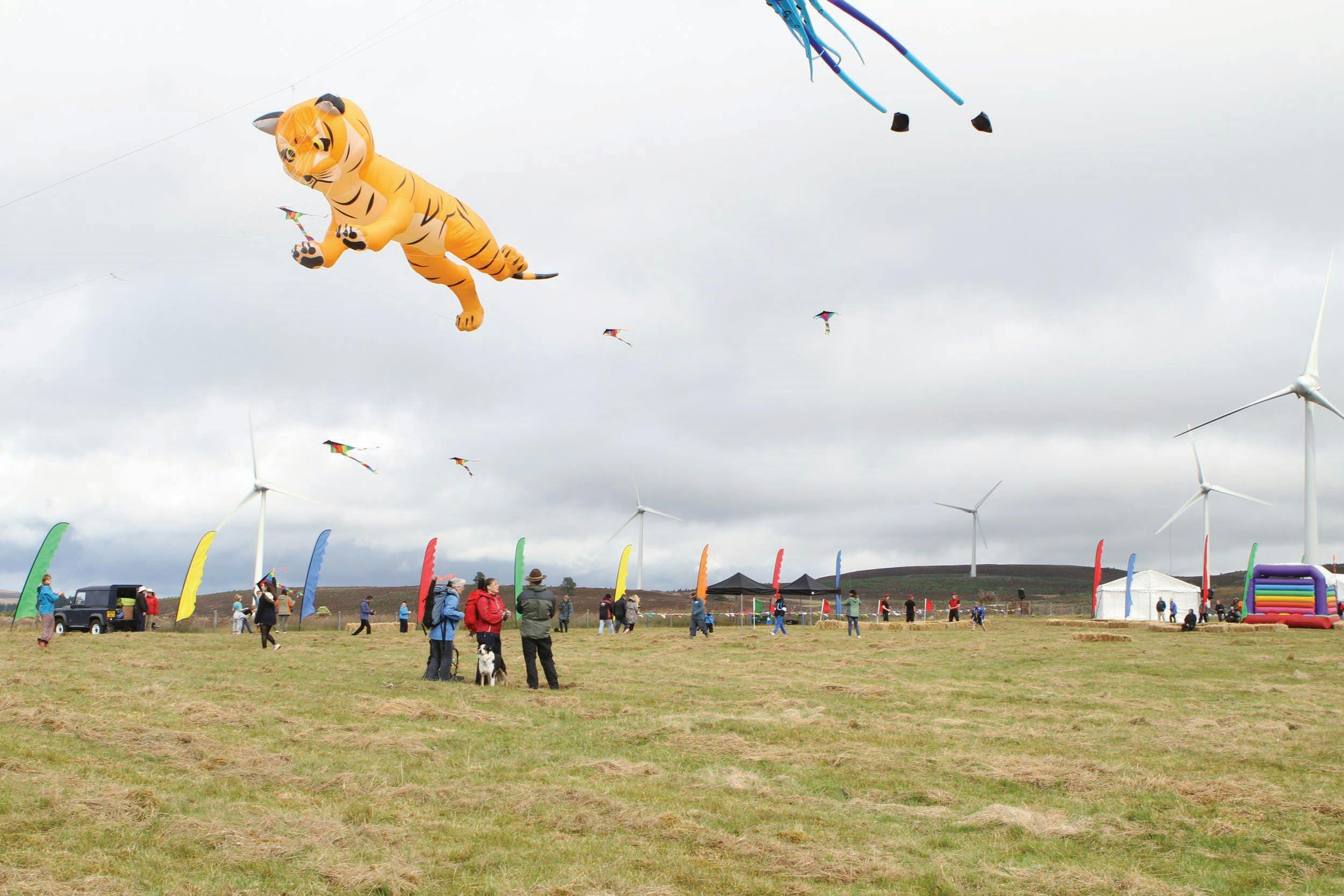 Berry Burn Family Fun Day, August 2014