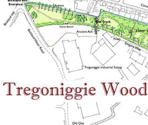 Team member, Friends of Tregoniggie Woodland