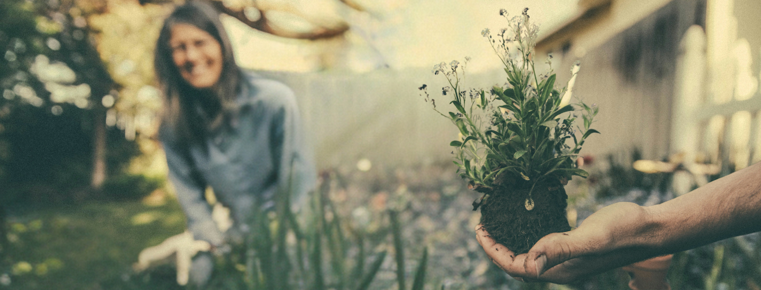 An outdoor greenspace, a hand holding a plant in the foreground and a person smiling in the background