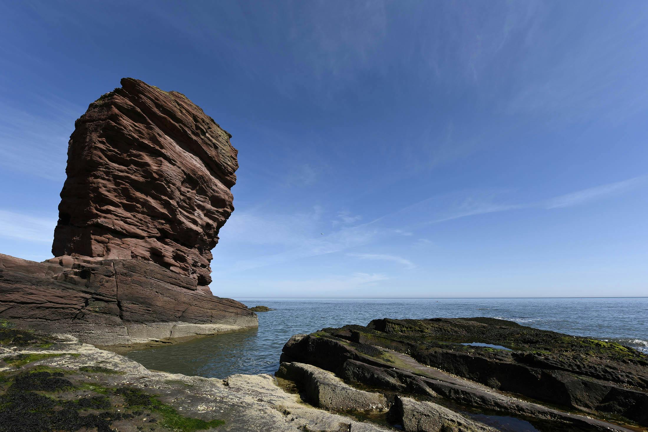 Arbroath Seaton Cliffs LR 008 151029.jpg