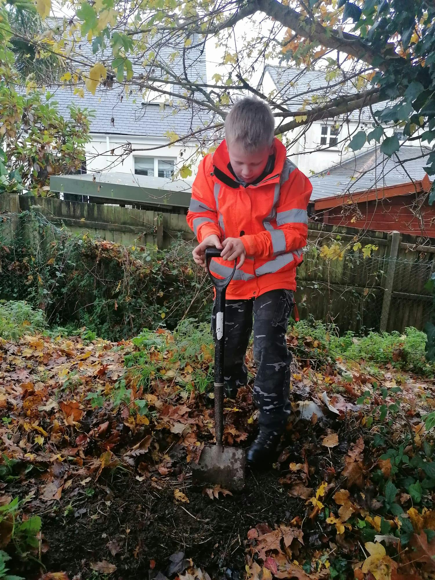 Tree Planting.jpg