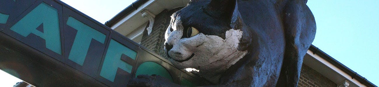 Statue of large cat at Catford Shopping Centre