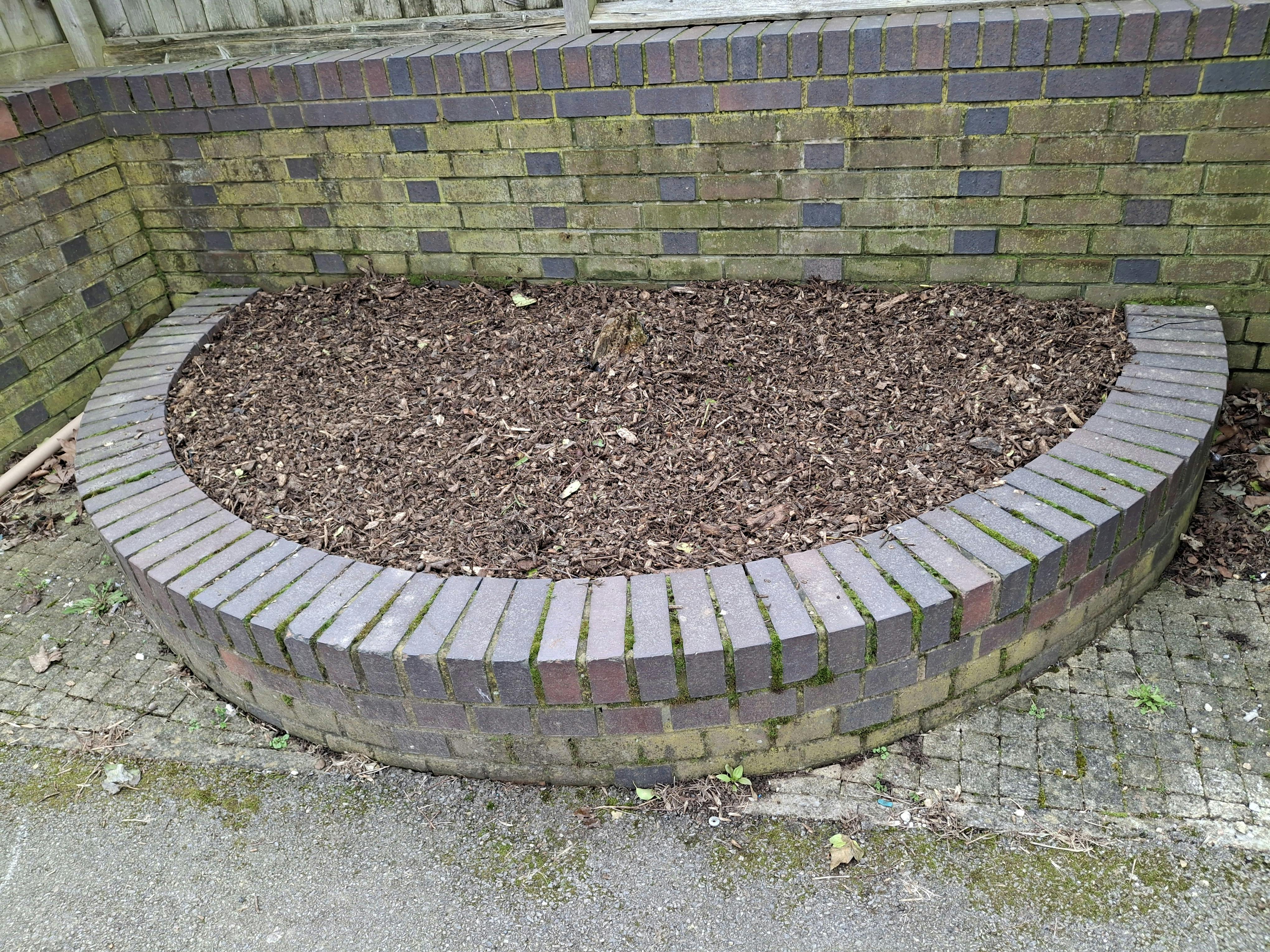 Flower Bed Improvement