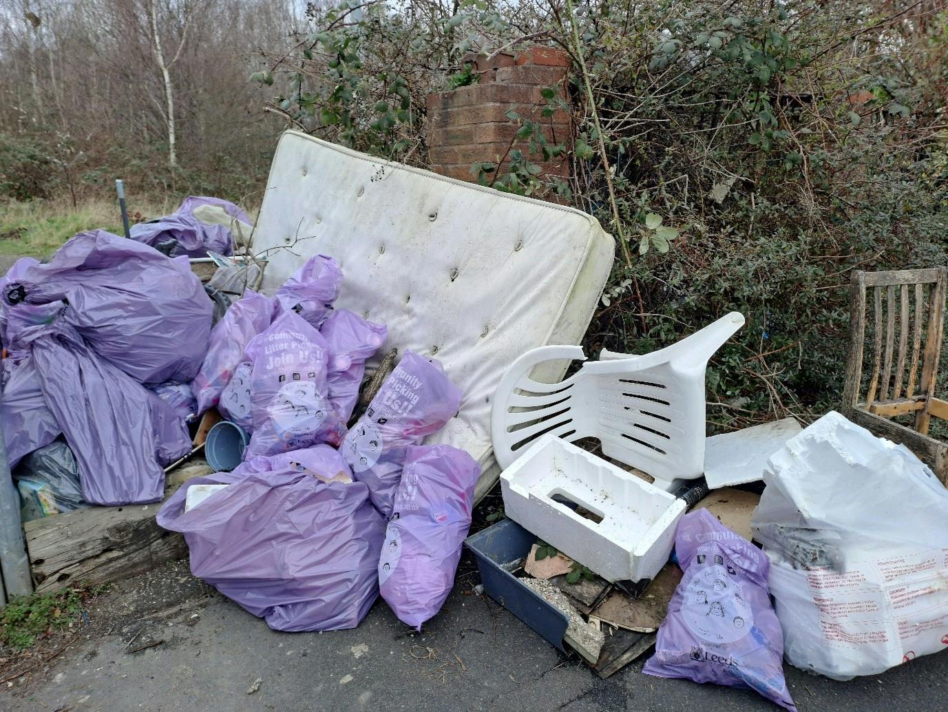 Litter pick 2.jpg