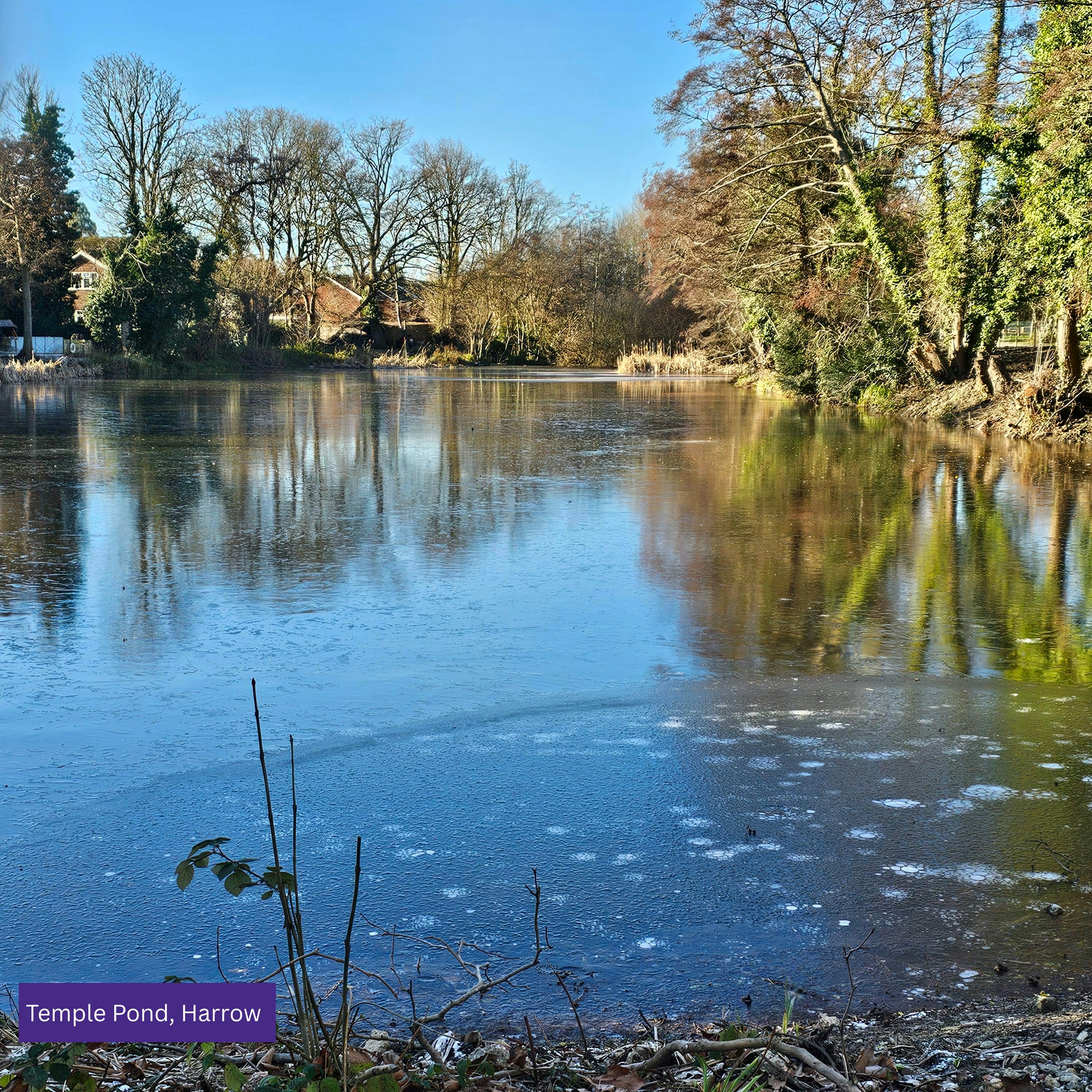 Temple Pond (1).png