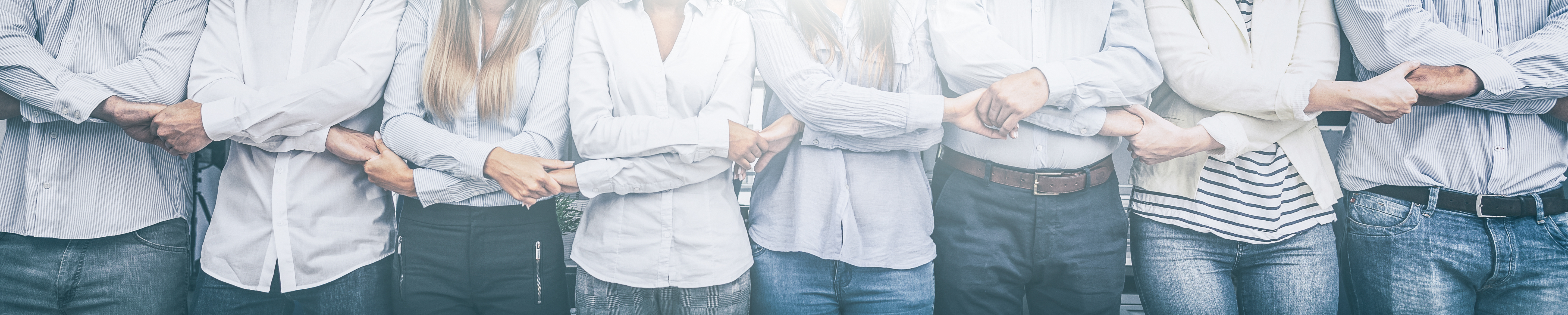 Colourful wild flowers