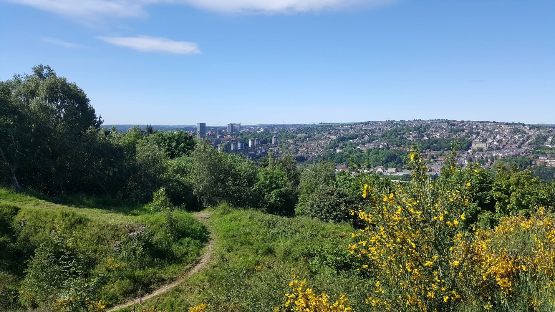 A view of Sheffield from Parkwood Springs