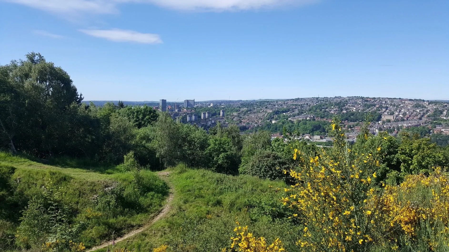 A view of Sheffield from Parkwood Springs