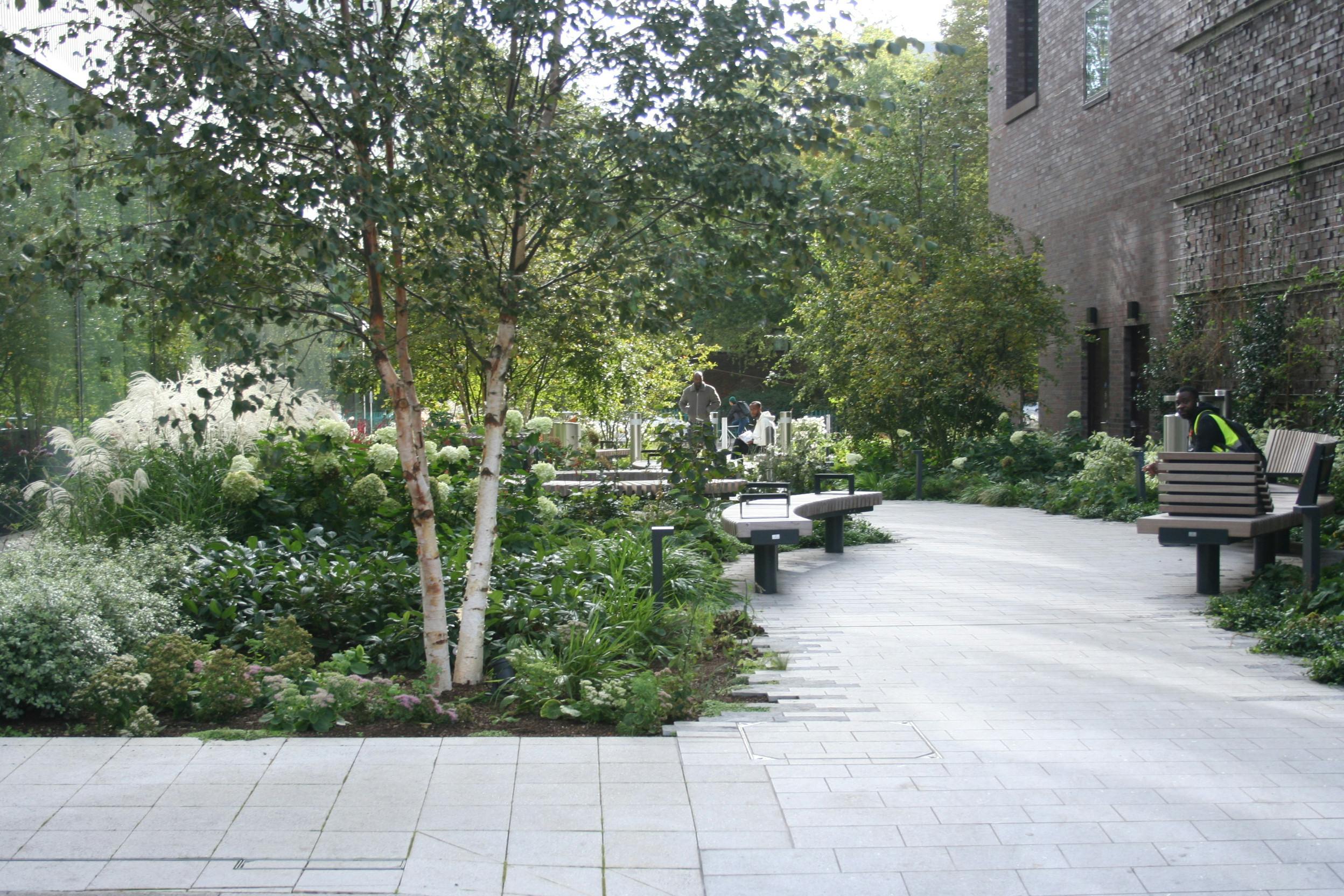 Planting and seating example in White City