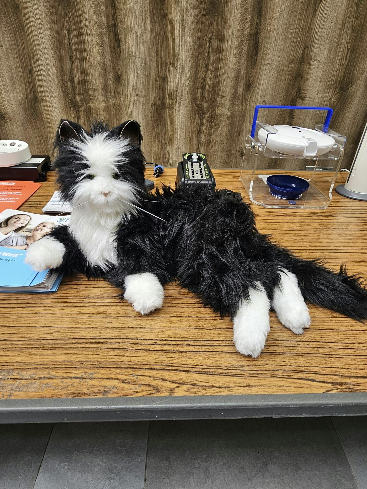 Examples of equipment available through NRS. This robotic cat can help provide companionship without having to worry about looking after a real pet.