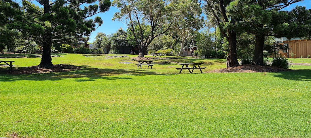 Nature park showing picnic benches in a glade between trees