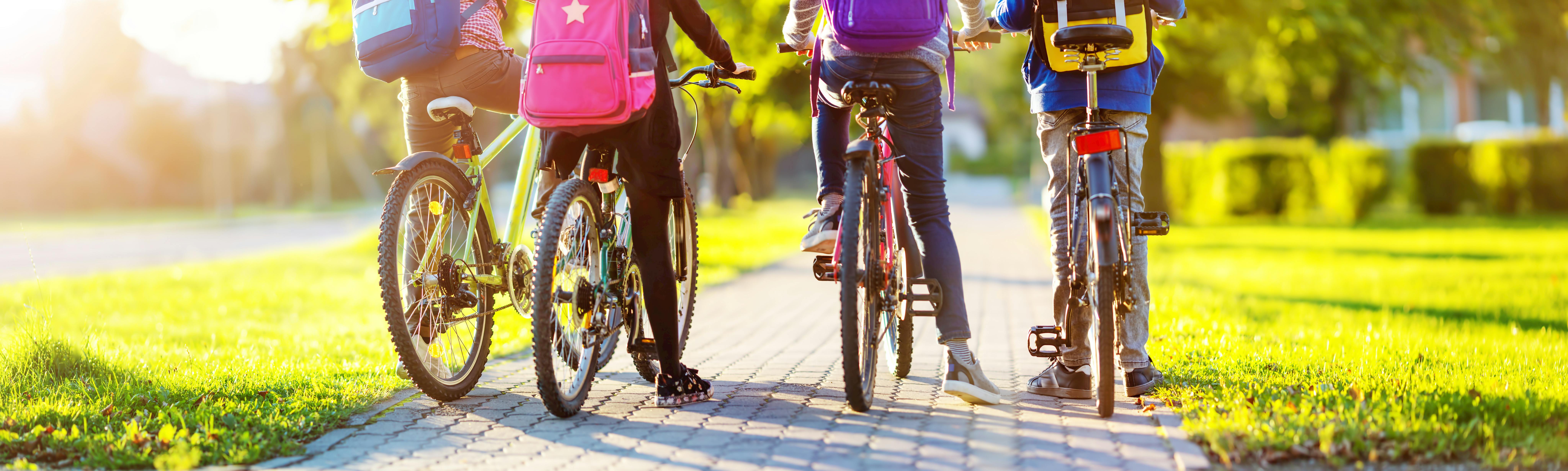 Image of four children on bikes riding along a sunny path.