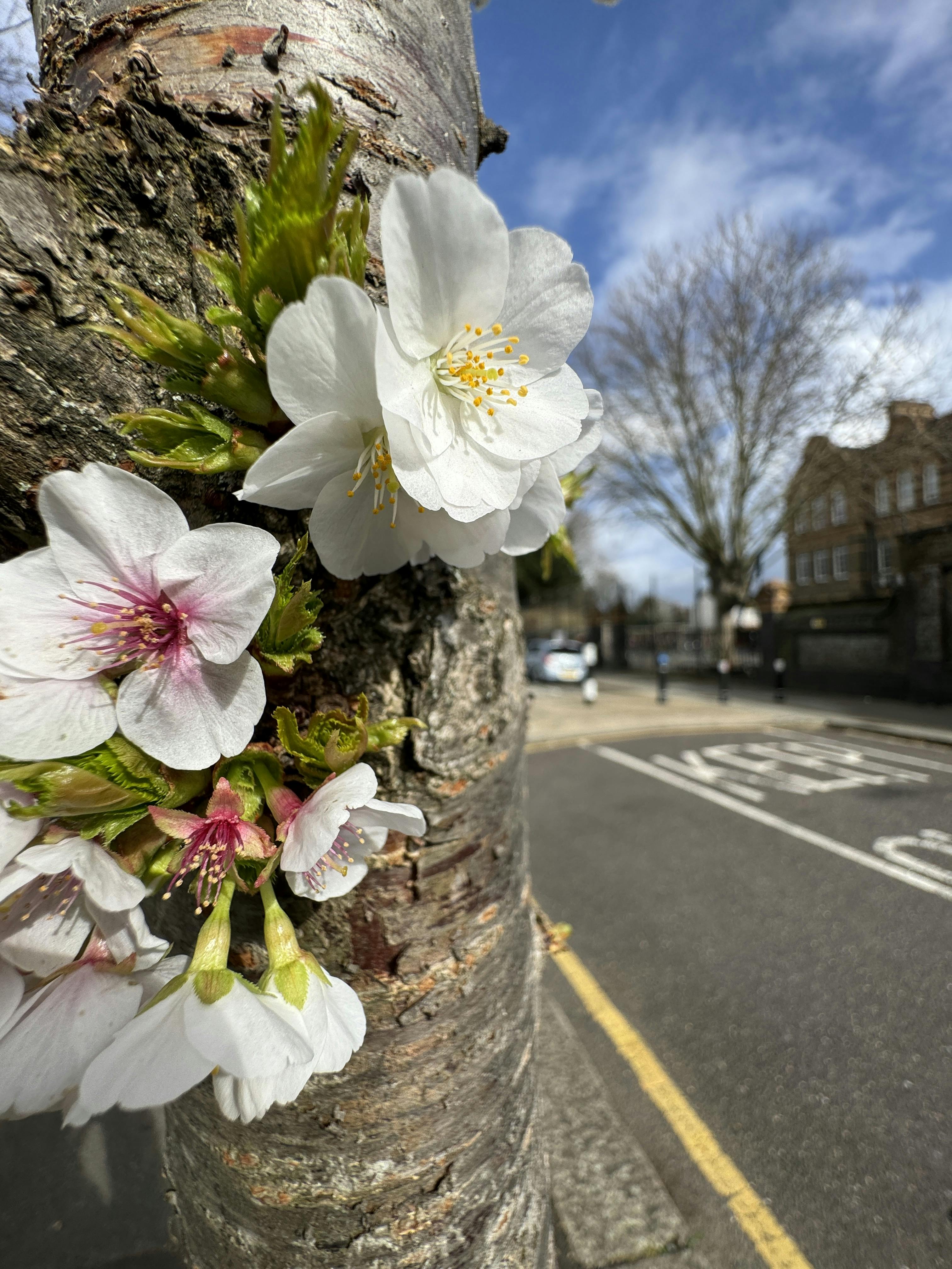 Redbridge photography awards - Nature 1.jpeg