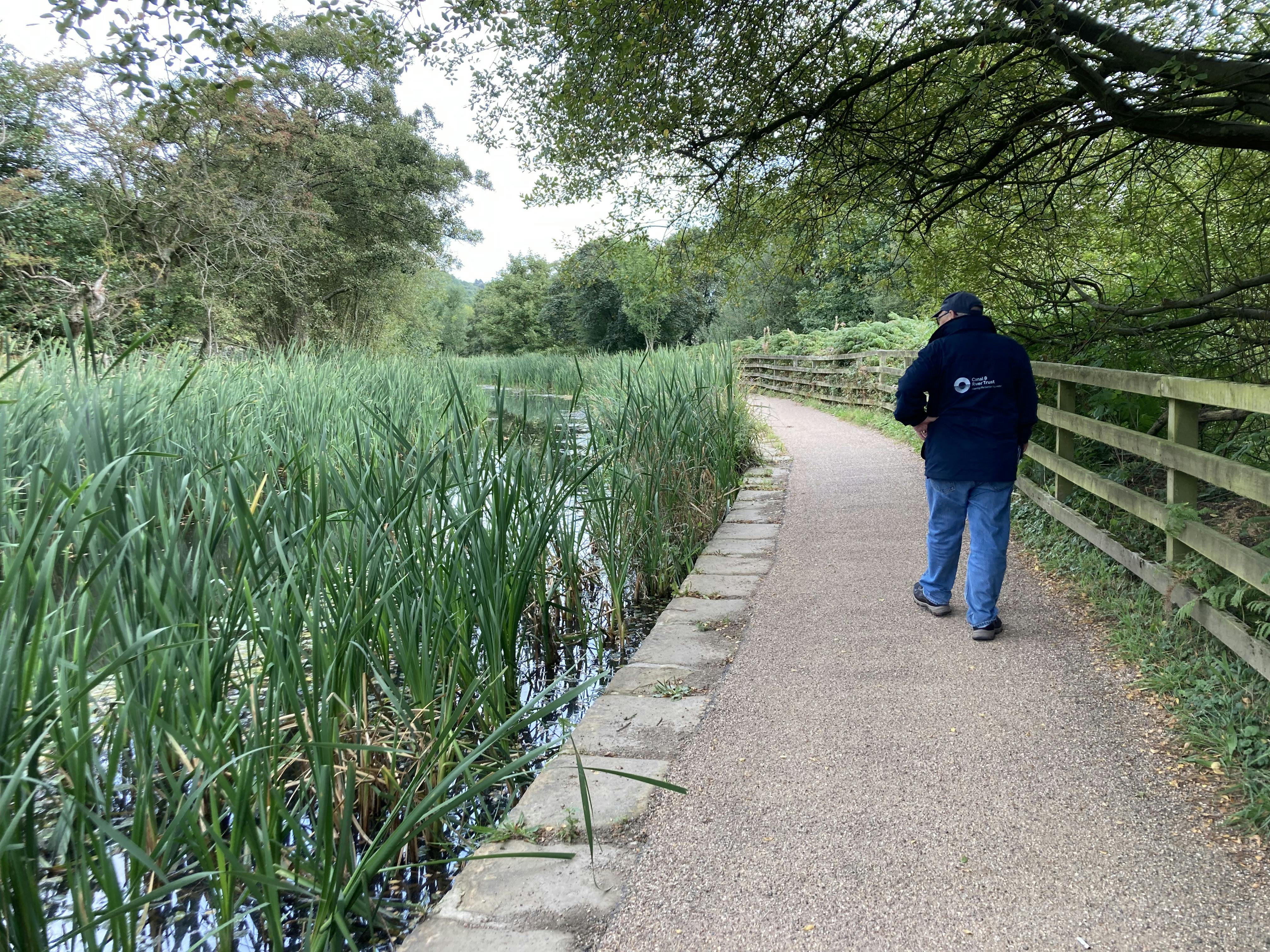 Previous towpath improvement work.jpg