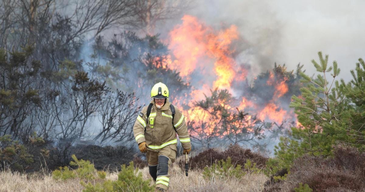 wildfire loch doon.jpg