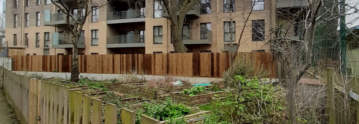 Section of Tufnell Park Community growing area