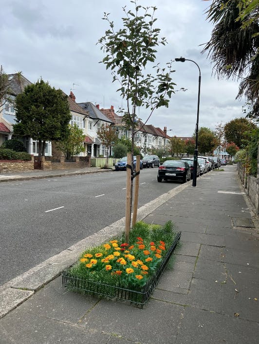 Aldbourne Road tree pit visualisation