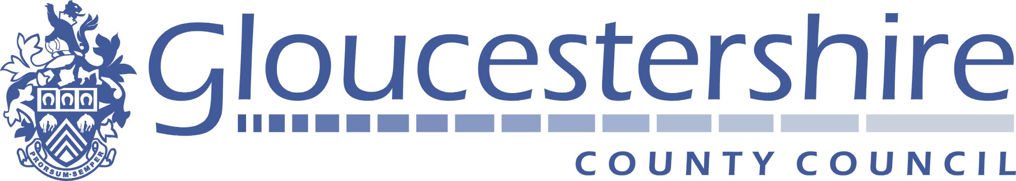 project banner