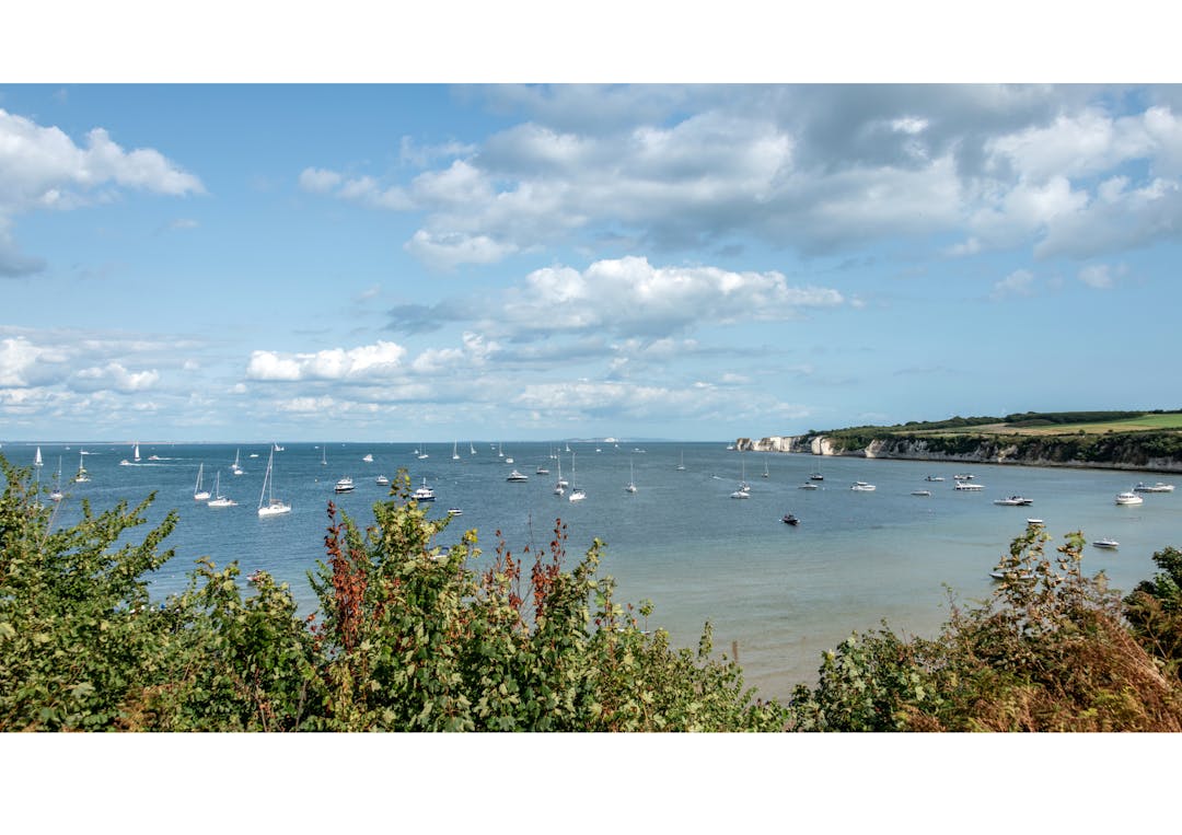 Studland Bay MCZ Engagement | Dorset Coast Have Your Say