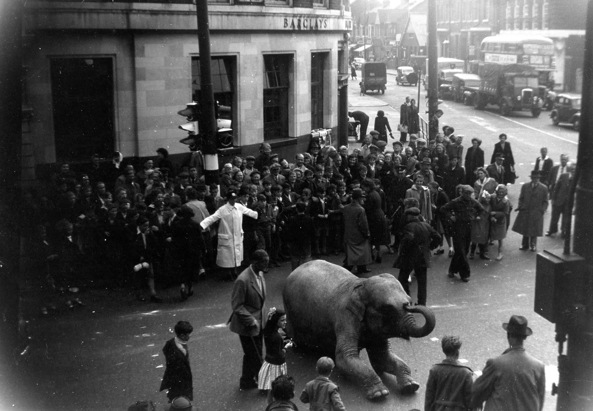 Elephant Road Safety, East Street 1953