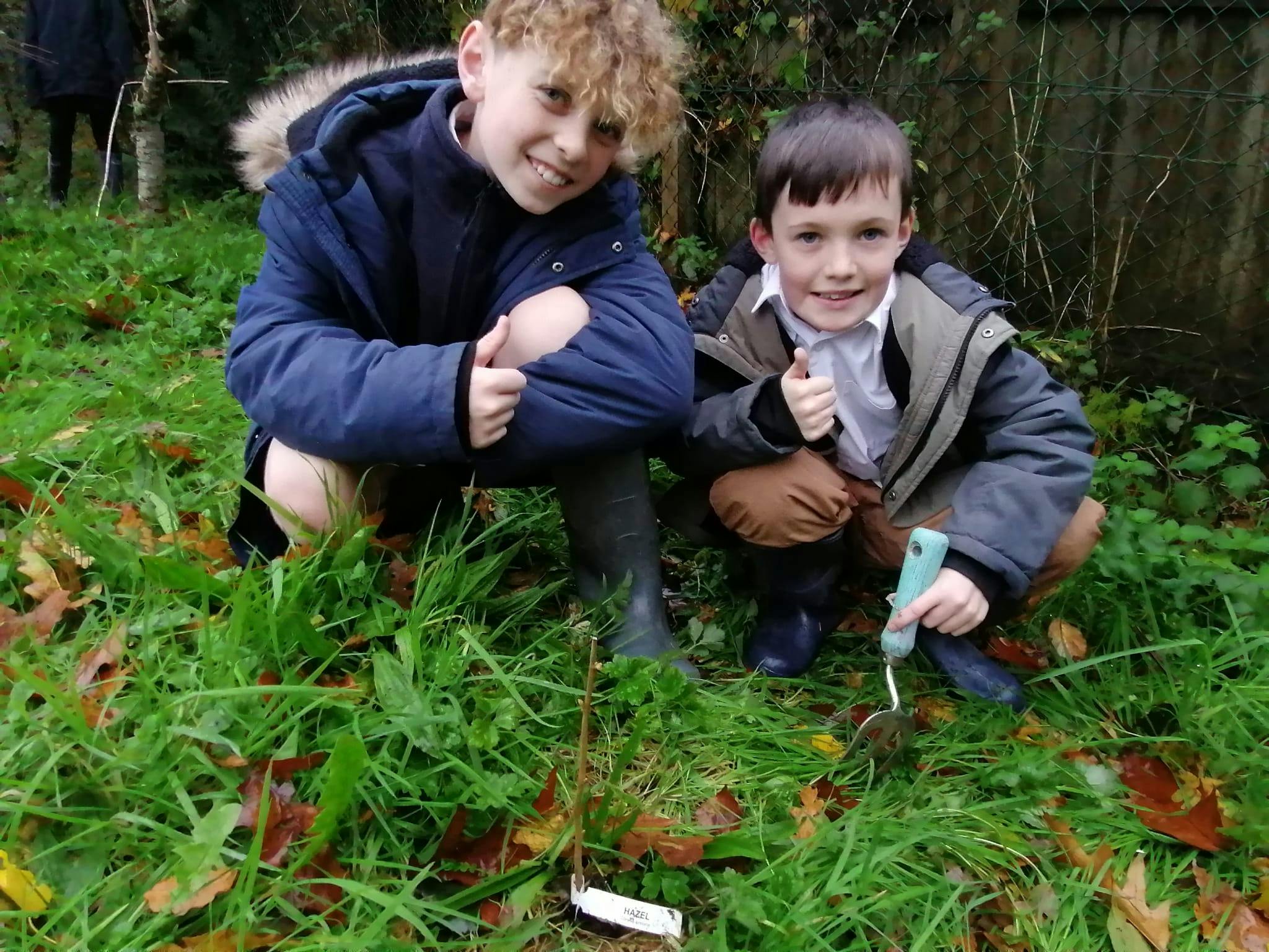 Tree planting dig.jpg