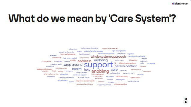 What do we mean by Care System word cloud.png
