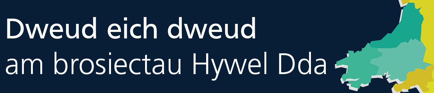 Dweud eich Dweud BIP Hywel Dda