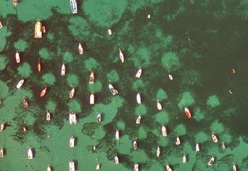 Boats anchored in seagrass illustrating negative effect of traditional swing moorings (photo credit Cornwall Wildlife Trust)