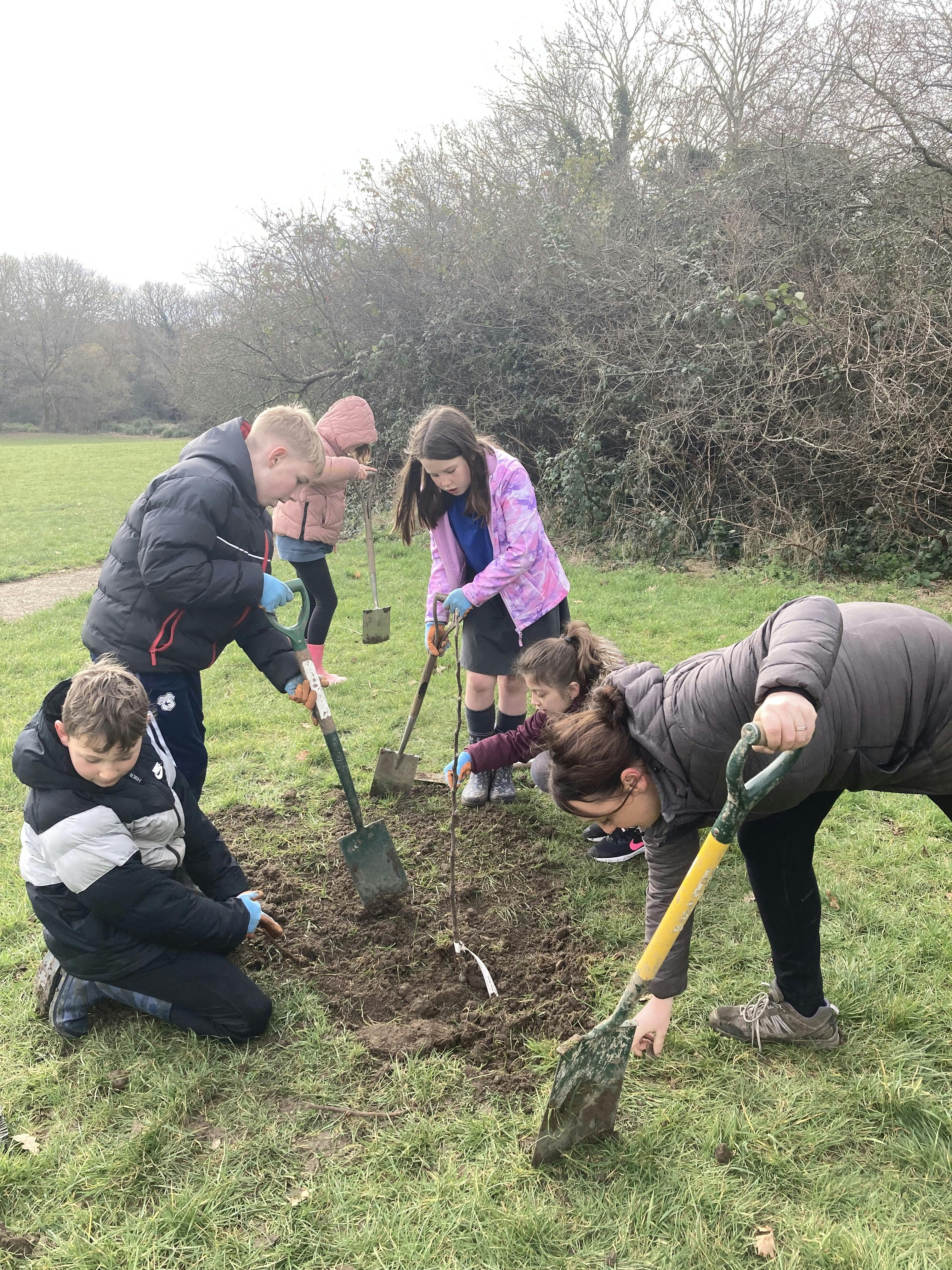 St Joseph school pupils planting orchard trees at St Cyres Park