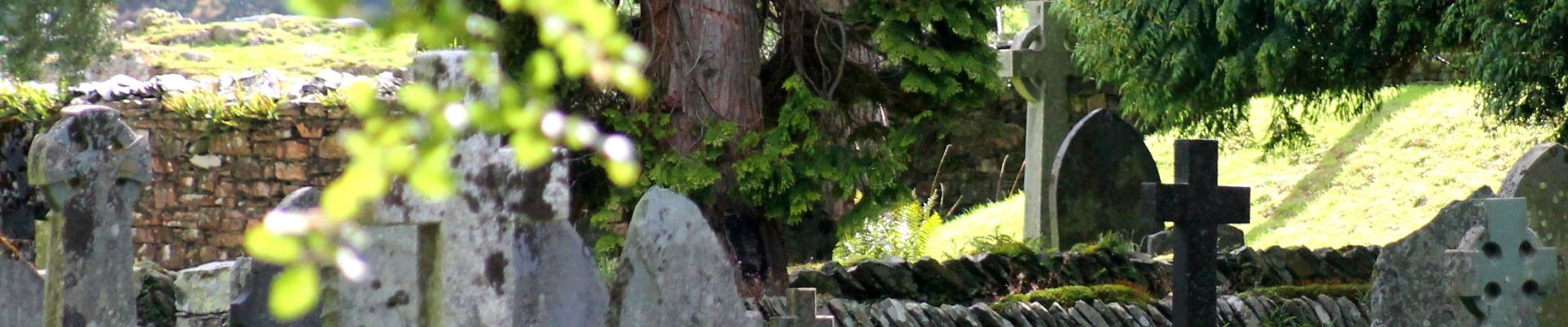 Generic photo of flowers on a grave