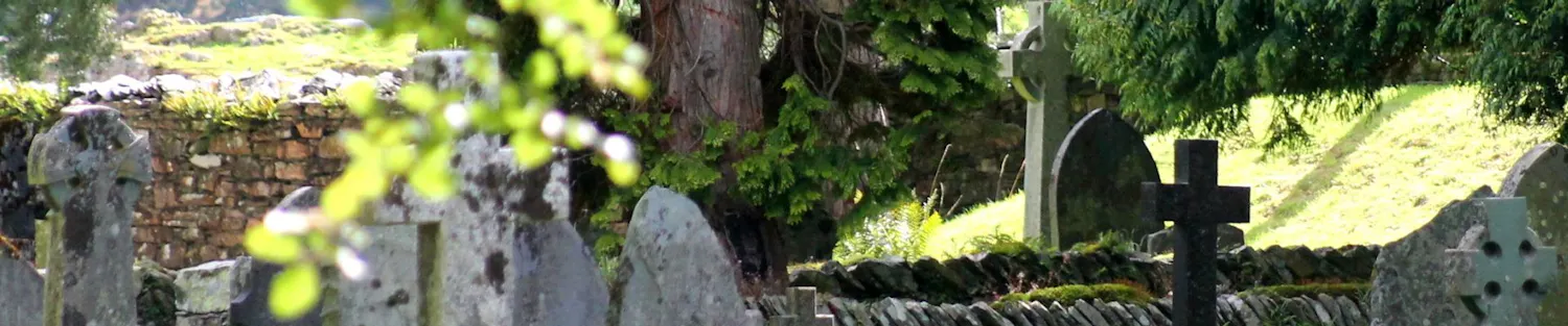 Generic photo of flowers on a grave