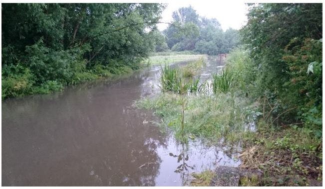 June 2016 flooding - Pinn Meadows.JPG