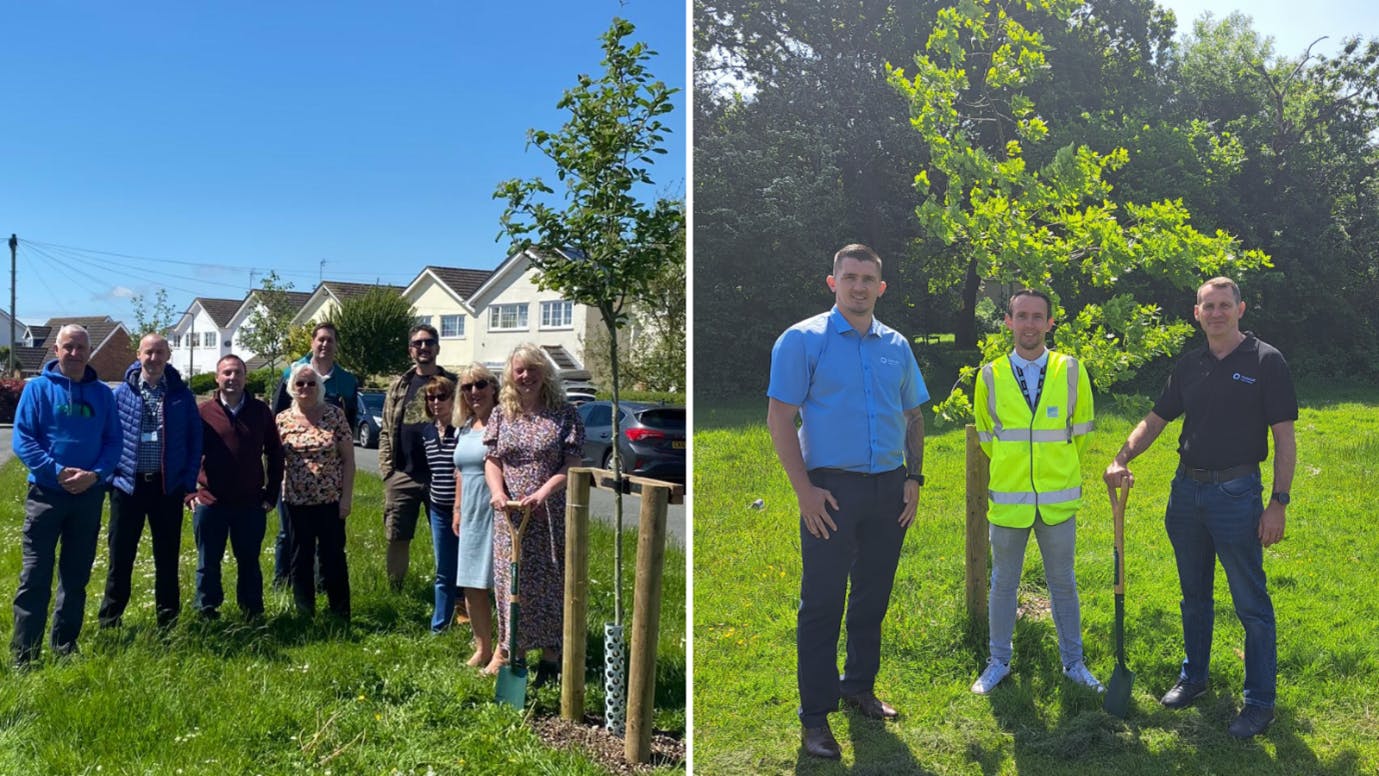 Tree planting