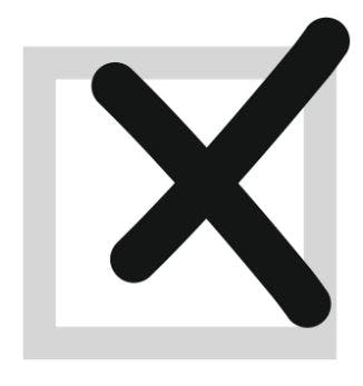 Team member, Electoral Services 