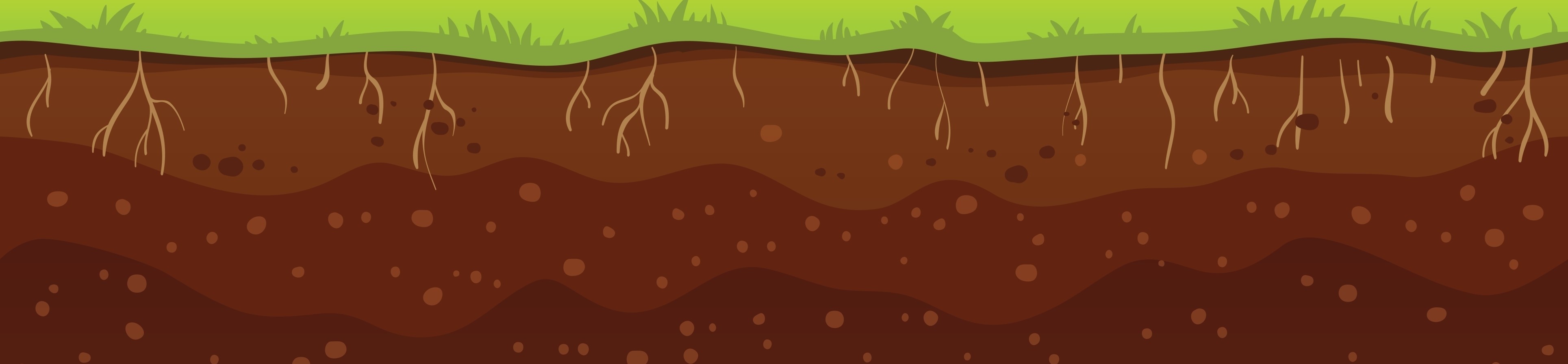project banner