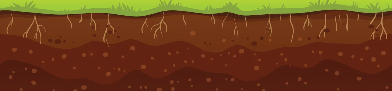 project banner