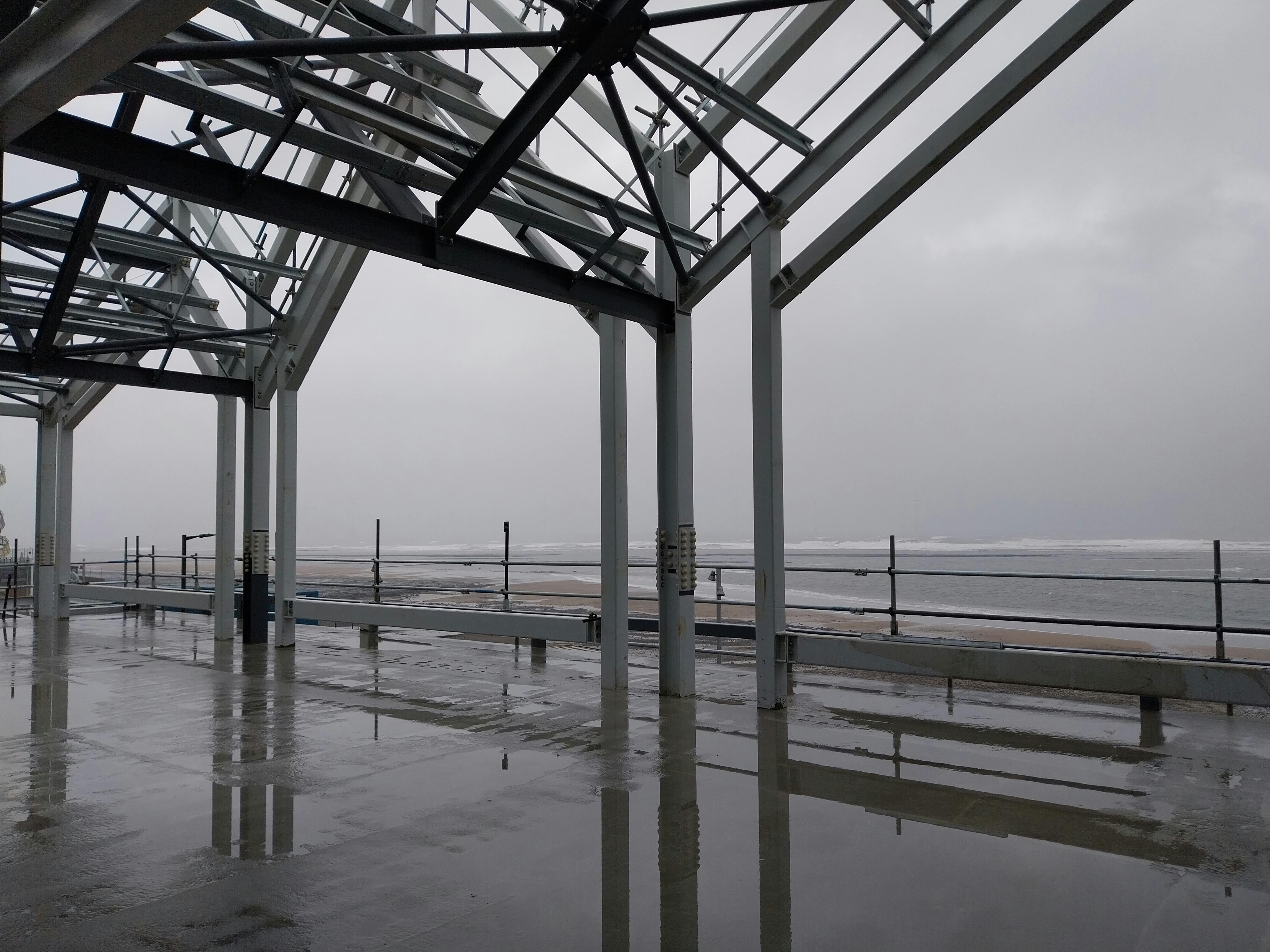 Progress Pictures - Jan 26 - No4