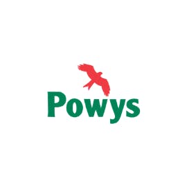 Team member, Powys County Council Cabinet