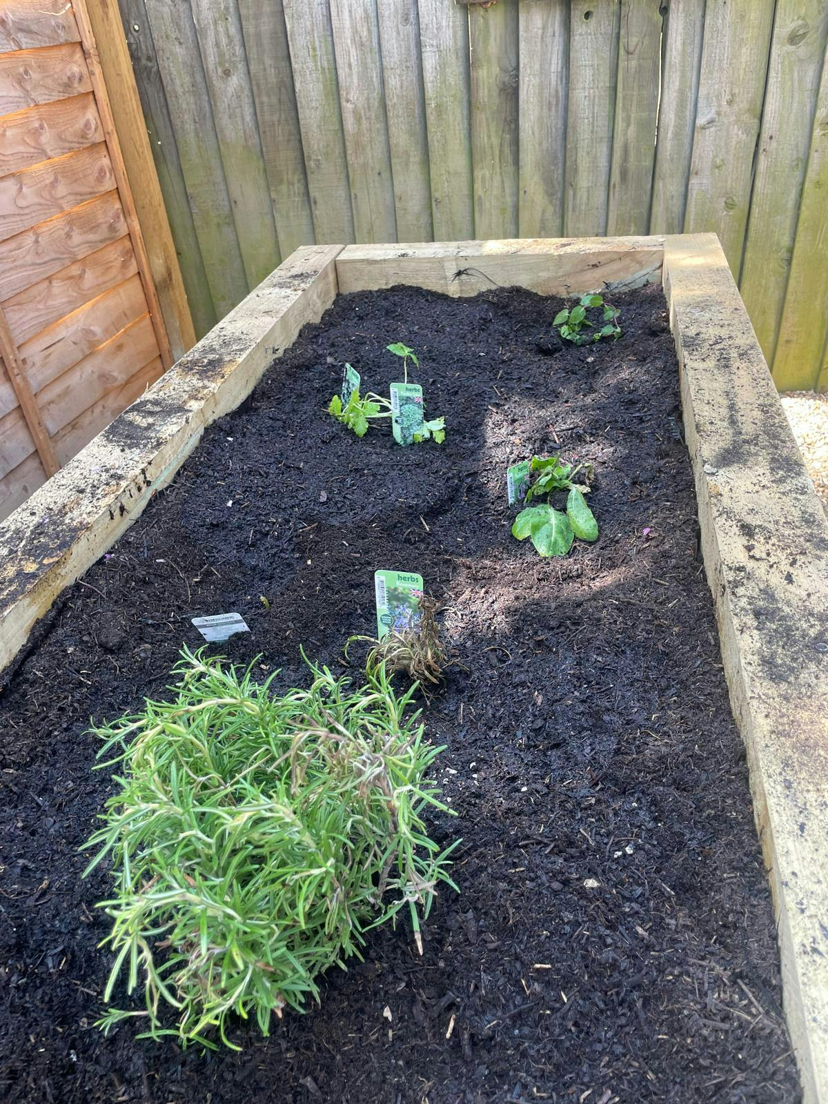 51dc418feeb340a627bebab468f746c0_WhatsApp Image 2025-04-30 at 15.14.44 (2).jpeg