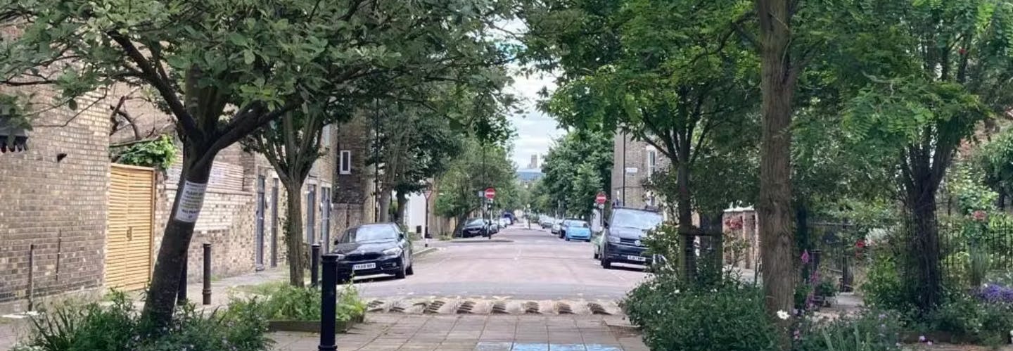 Section of Annette Road with cars parked on either side, and trees, shrubs and plants in the foreground