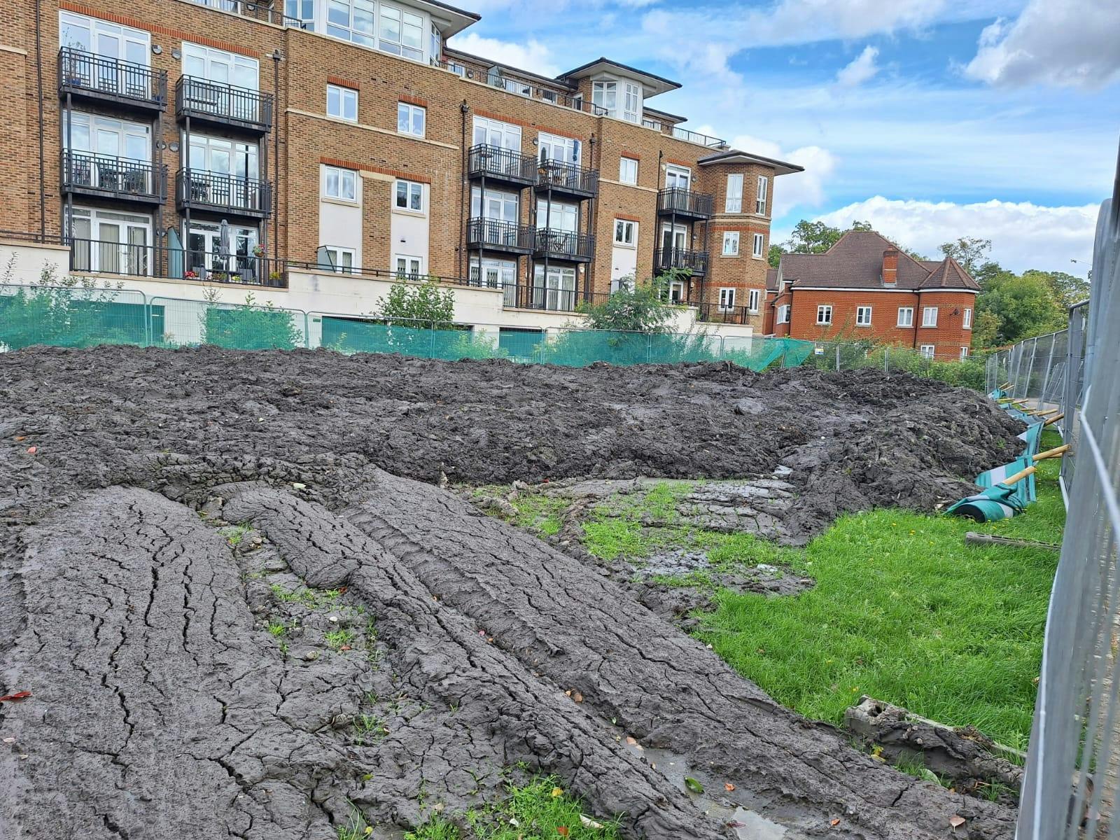 Temple Pond silt dewatering areas 