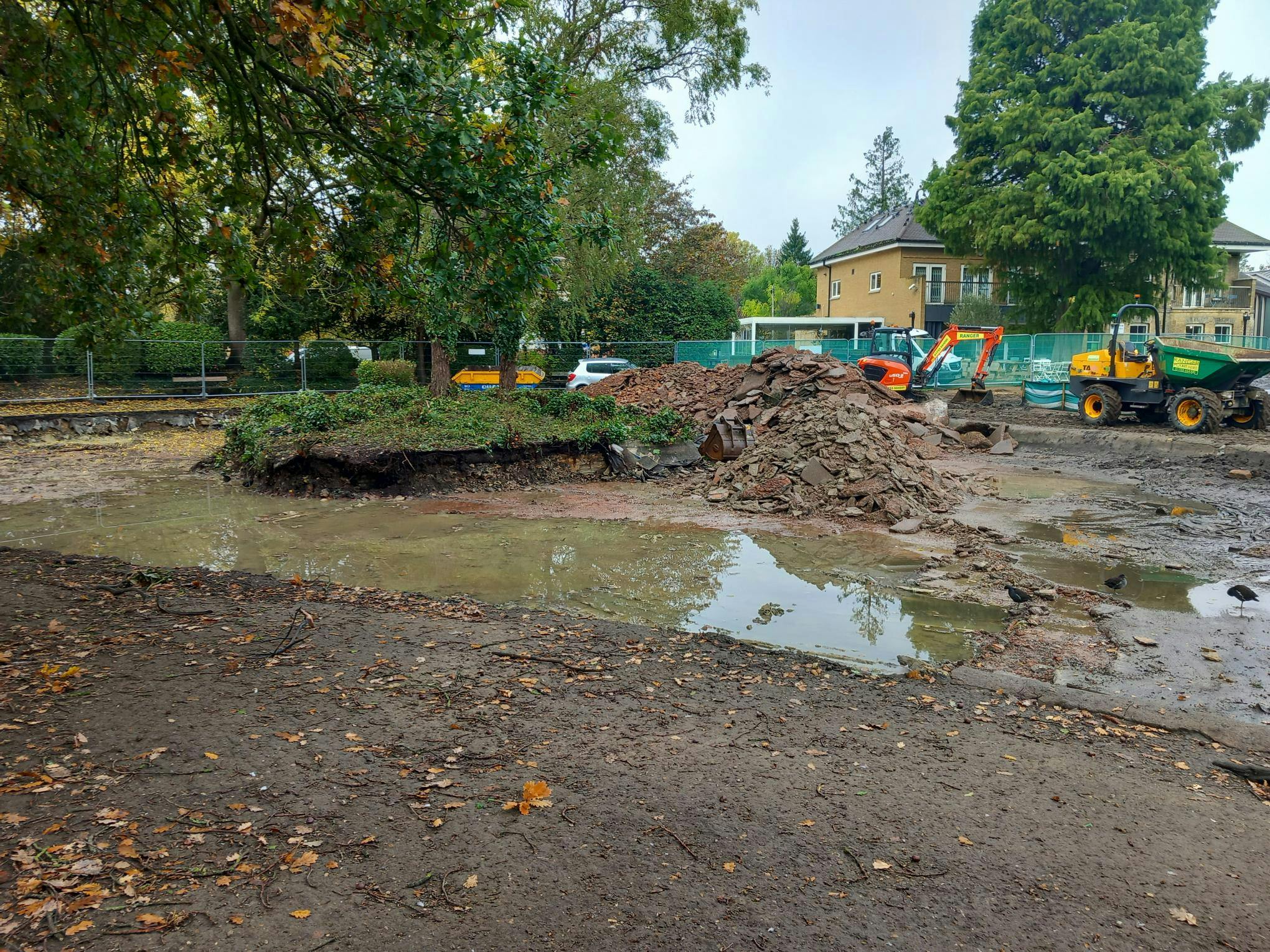 Pond Works Progress 221025_12.jpg