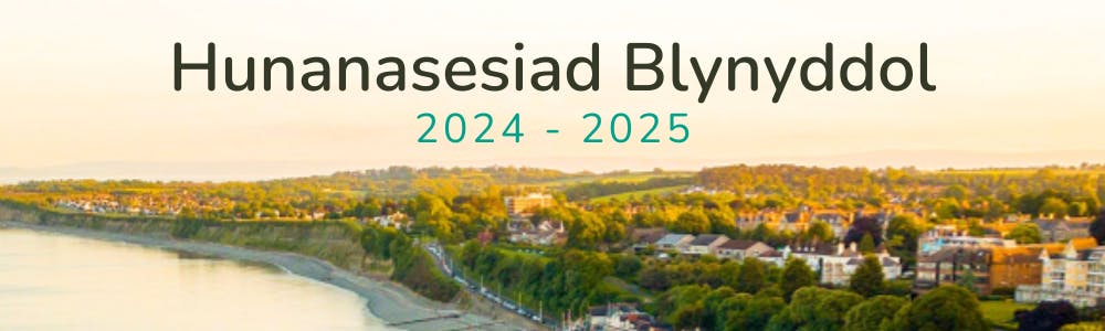 Hunanasesiad Blynyddol
